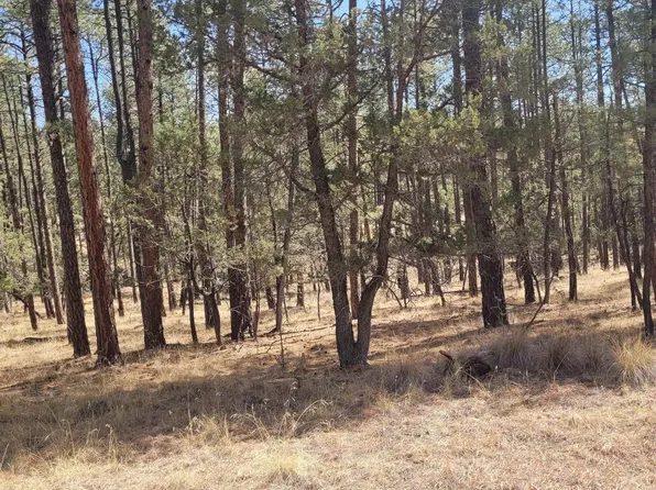 25-26 27 Damascas Rd, Cloudcroft, NM 88317