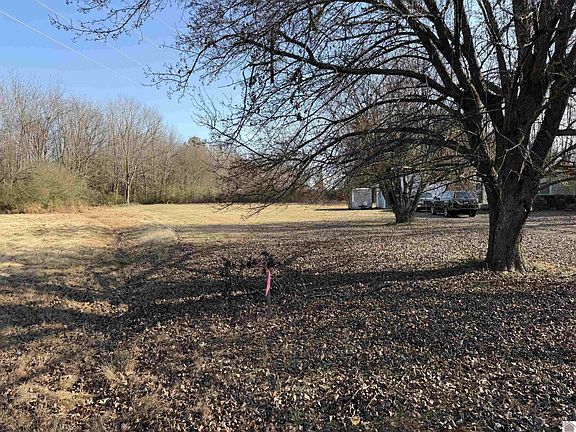 3rd image of 8020 Cairo Rd