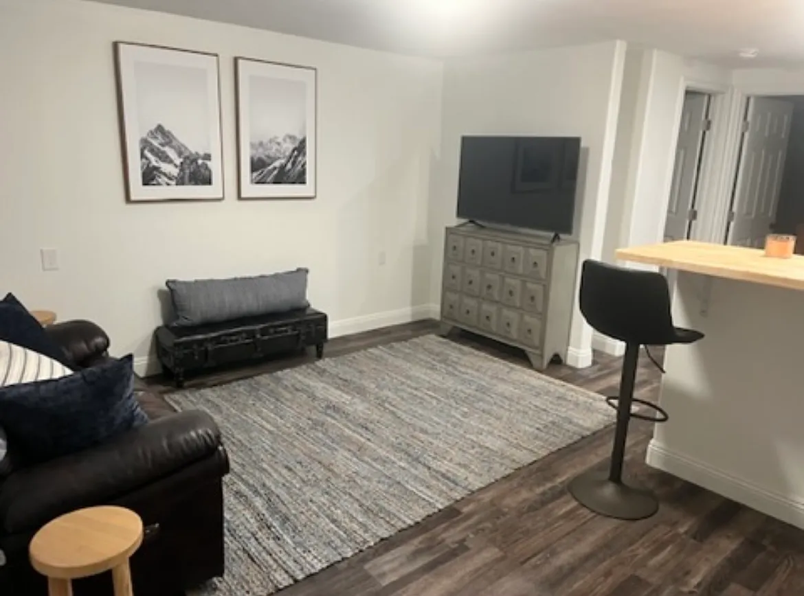 1 bed, 500 sqft, $1,500 — Photo 1