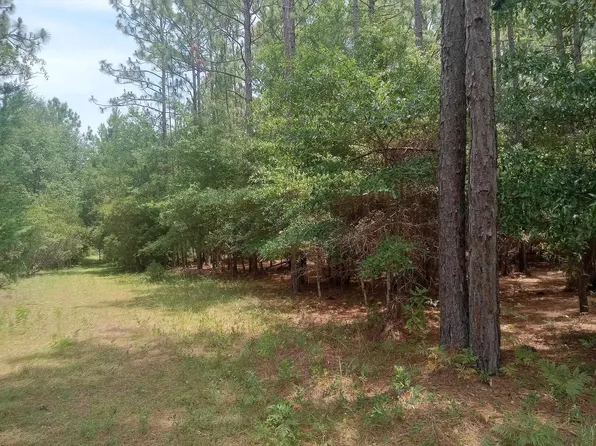 LOT 1074 Duany Dr., Georgetown, SC 29440