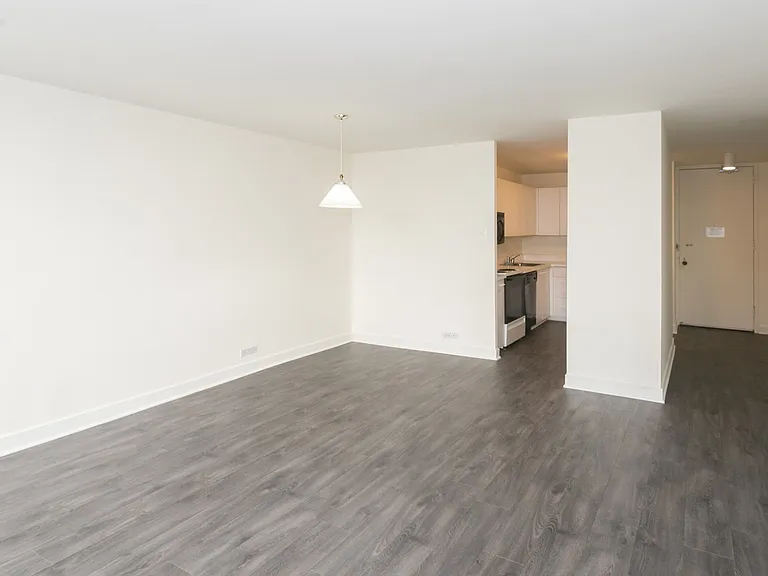 Dining/Living room