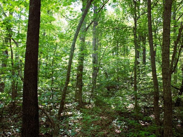 Gum Springs Rd, Parthenon, AR 72666