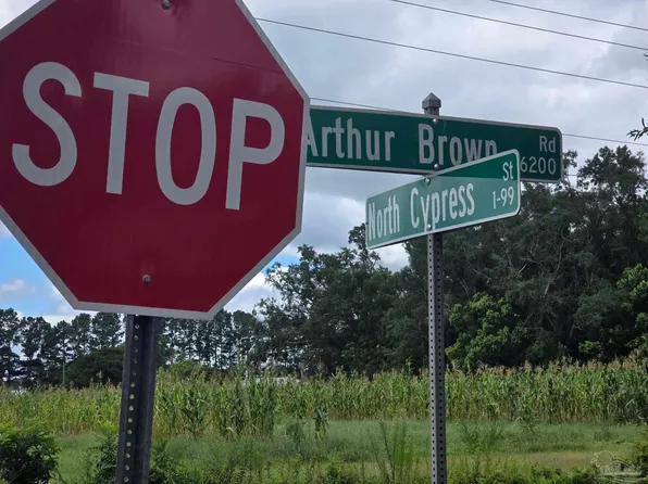 6200 Arthur Brown Rd, Walnut Hill, FL 32568