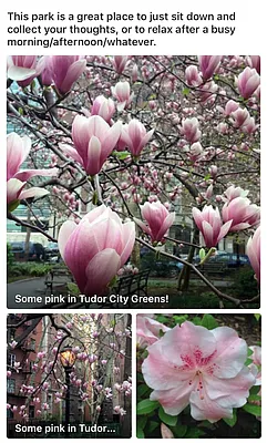 Rented by Bond New York | media 63