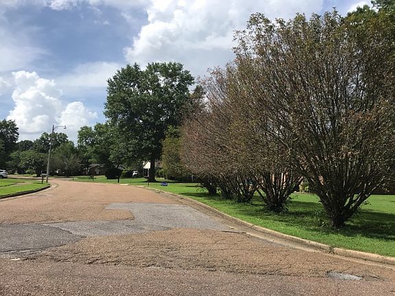 5th image of 810 Valley Springs Dr