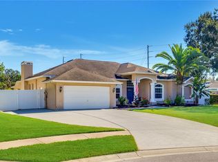 26210 Corkwood Ct, Land O Lakes, FL 34639