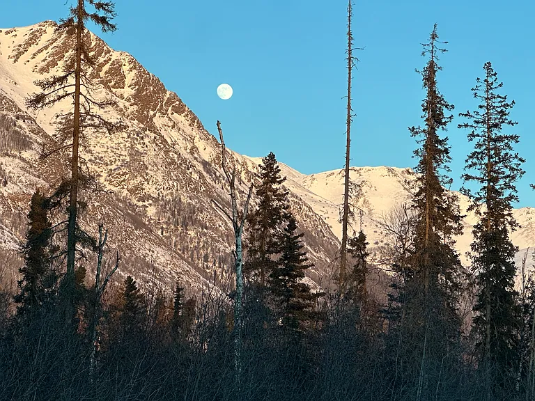 Icefall Dr — Photo 20