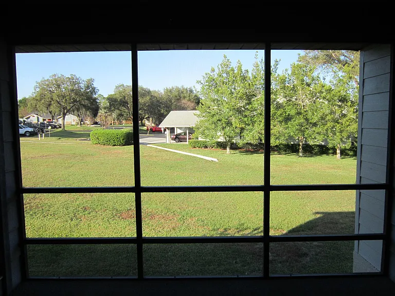 View from patio