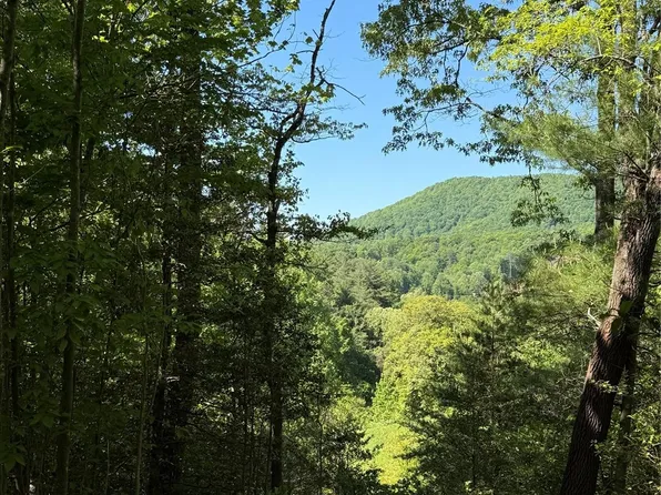 3 W Legacy Dr, Hendersonville, NC 28739