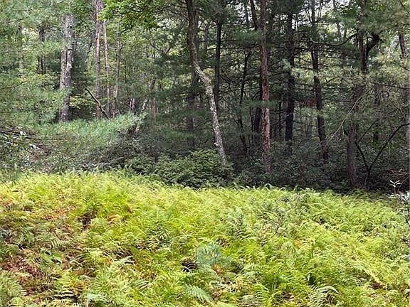 5th image of Pine Lake Dr