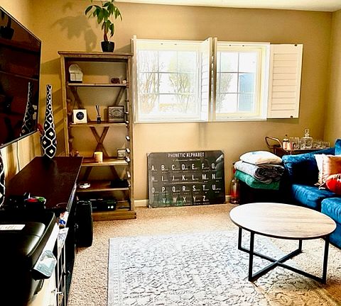 Lower level living room/office.