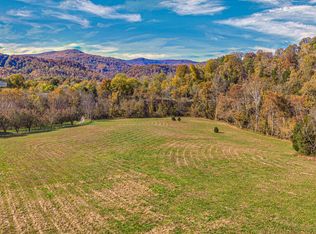 855 Lovely Bluff Rd, Rocky Top, TN 37769