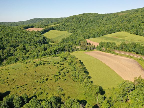5th image of 4473 Brush Creek Rd Lot Wp001