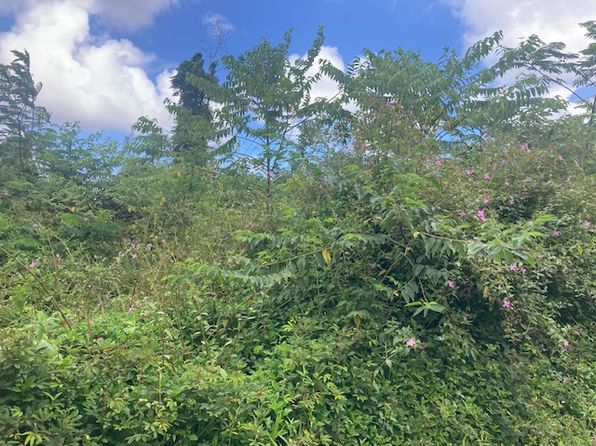 14-3479 Shell Rd, Pahoa, HI 96778