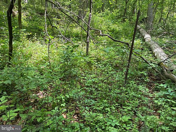 2nd image of LOT 2 Beylors Ferry Rd