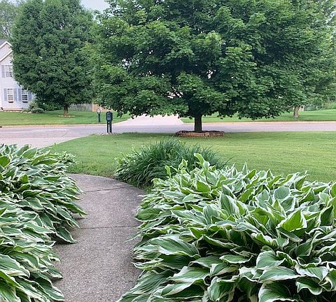 Front Walk Entrance