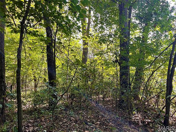 5th image of 0 Bowen Cemetery Rd