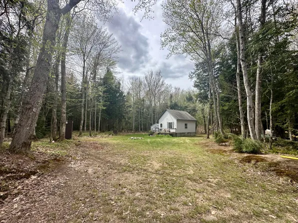 22698 Nelson Trl, Newberry, MI 49868