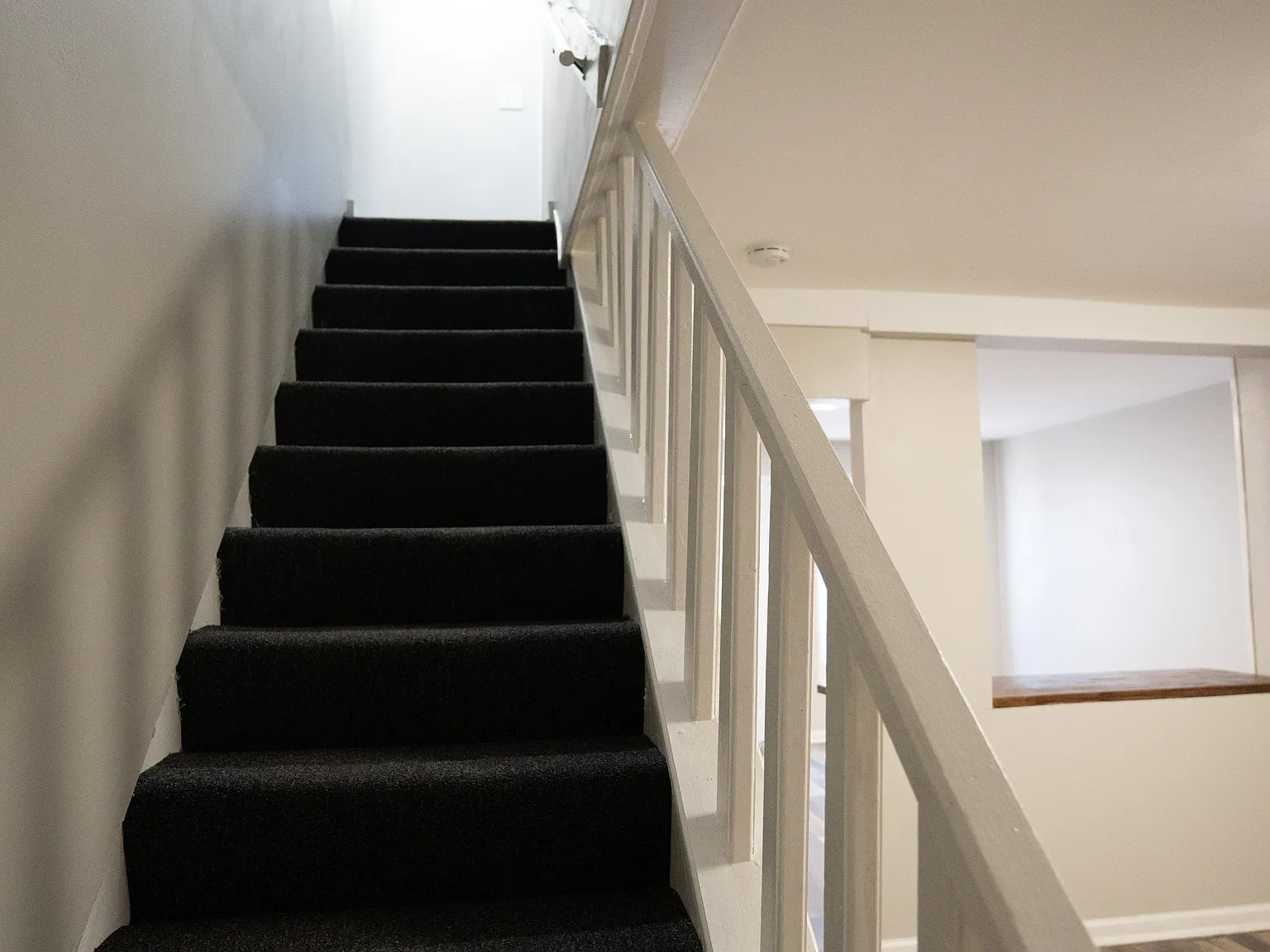 2 bed, 1.0 bath, $1,600 — Photo 3
