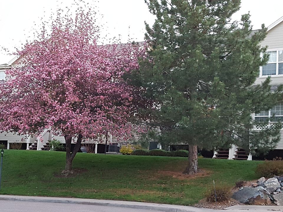 View from front in Spring.
