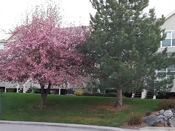 342 W Jamison Pl Unit 61, Littleton, CO 80120