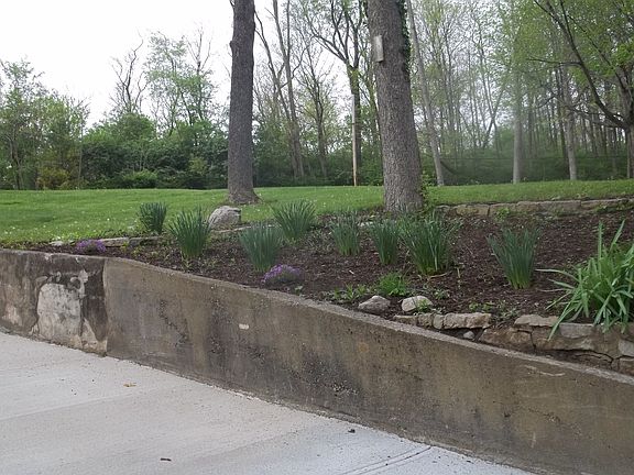 2nd image of 1243 Opal Ave