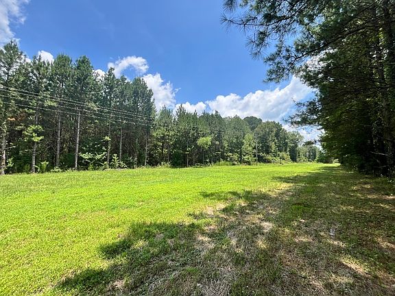 Powerline Right of Way Near Center of Property
