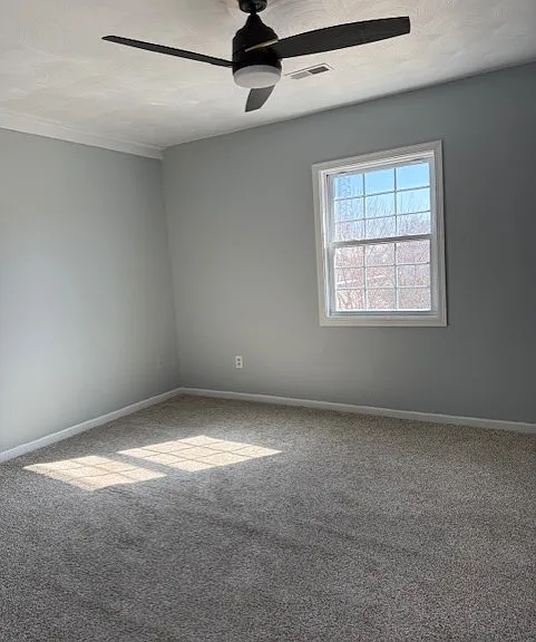 717 W Prospect Ave #D — Photo 5