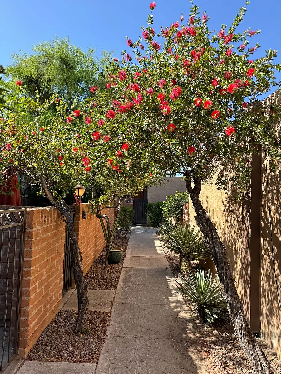 Building Photo - Riverside Suites