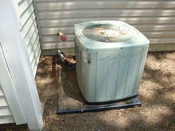 5th image of 1207 W Pleasure Ave