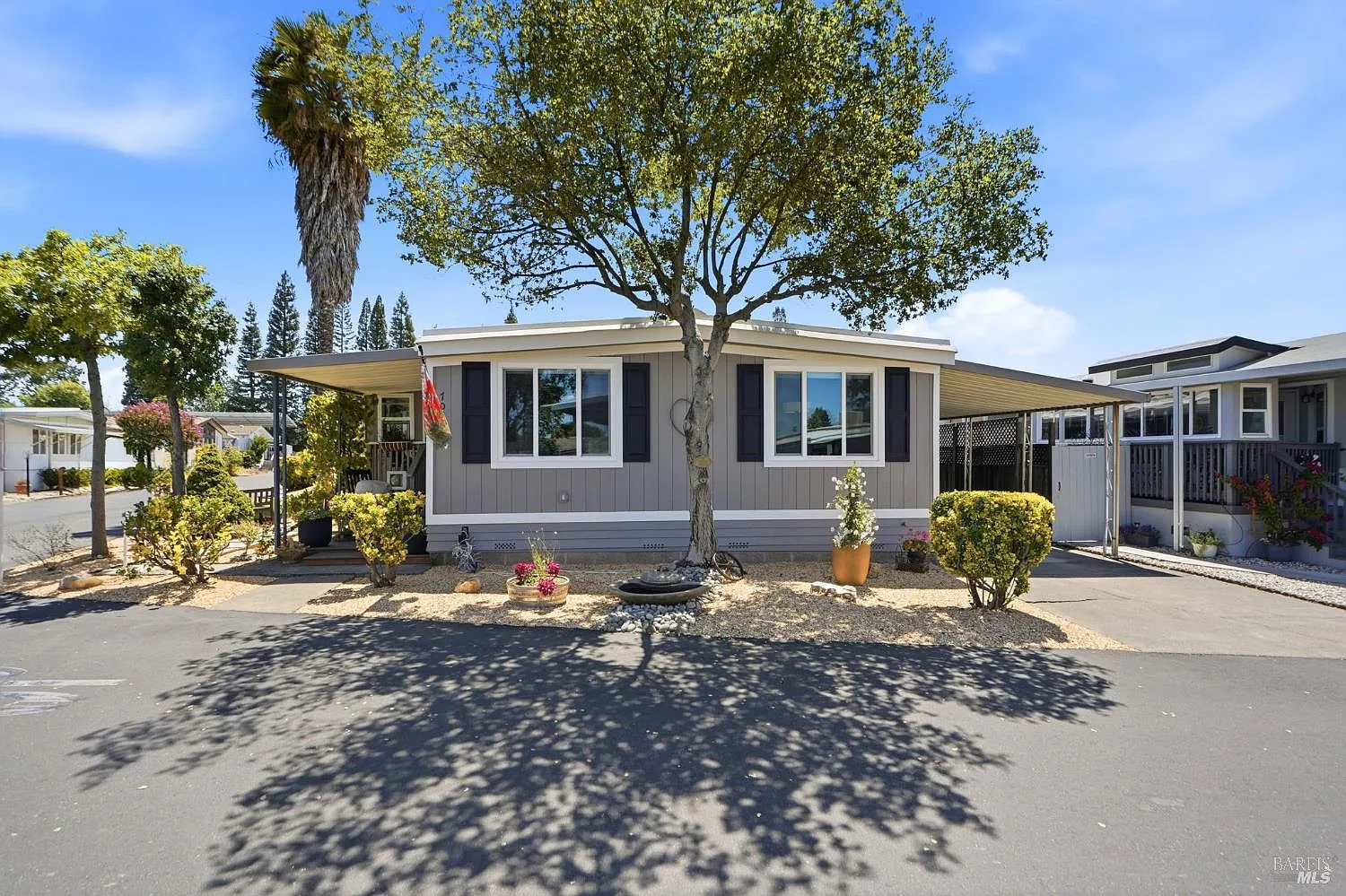 703 Sequoia Street - Photo 1