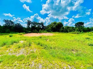 100 Spring Valley Dr, Danville, AL 35619
