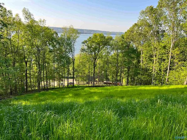 1519 Amber Ln, Guntersville, AL 35976