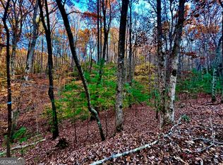 296 Valley View Rd, Ellijay, GA 30536