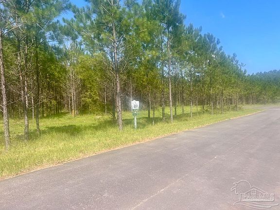 3rd image of LOT 89 Pine Preserve Ln
