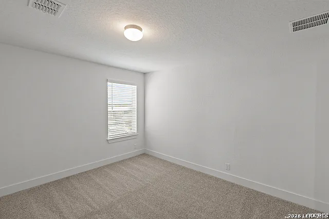 413 Hinsdale Run — Photo 36