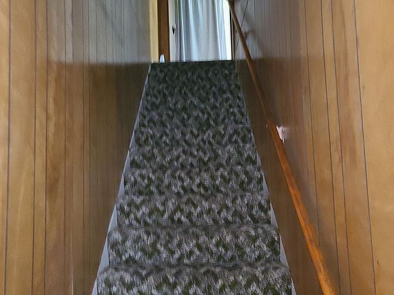 Front entryway stairs leading into living room.