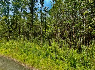 Road 2 LOT 2888, Kurtistown, HI 96760