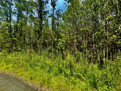 Road 2 Lot 2888, Kurtistown, HI, 96760