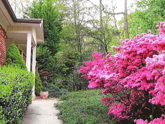 Carolina Spring