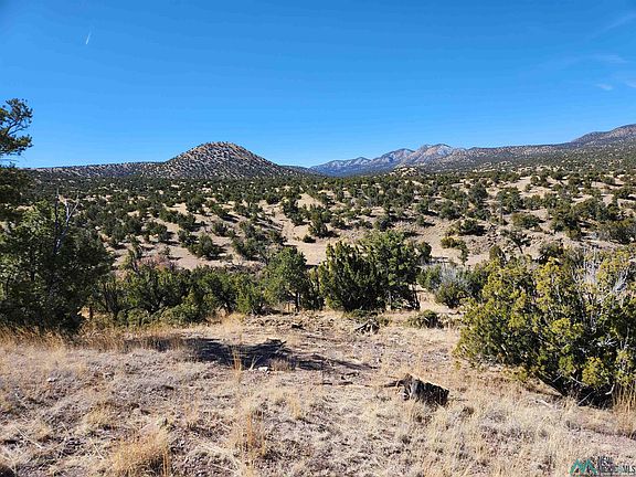 4th image of 1-0000 State Highway 169