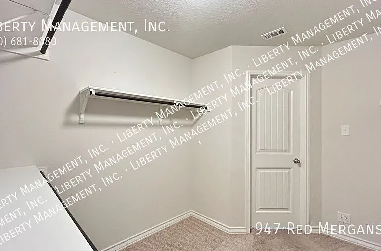 947 Red Merganser — Photo 32