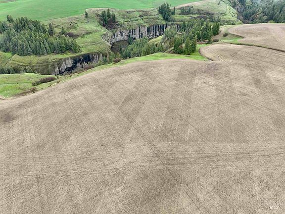 5th image of Younger Rd