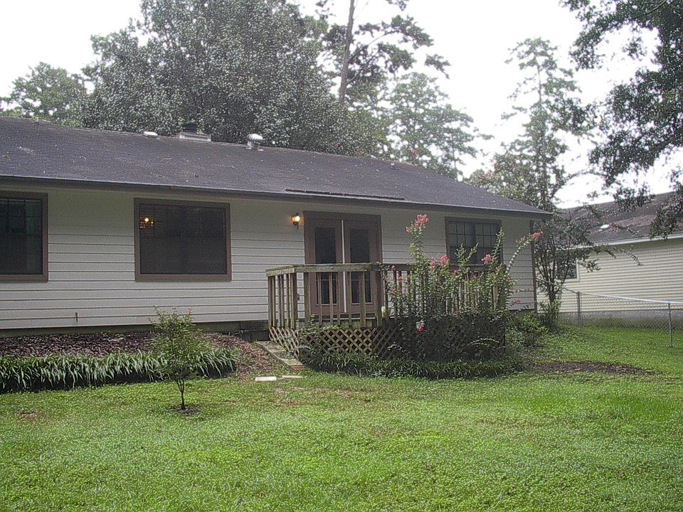 The Back