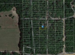 0 Mercer St, Interlachen, FL 32148