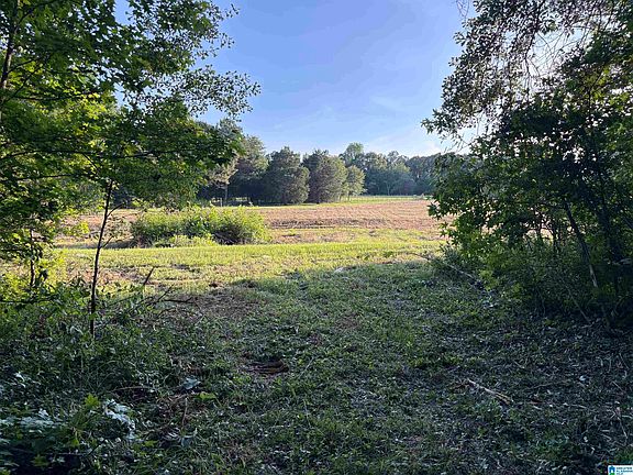 4th image of 33600 State Highway 22