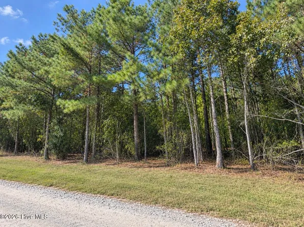 0 Default Street Lot 5 LOT 5, Scranton, NC 27875