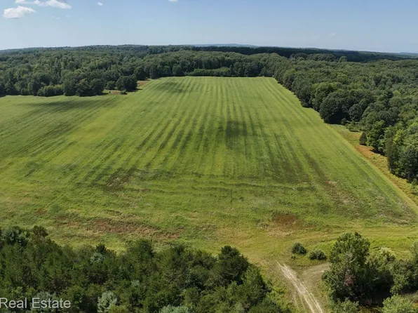 00B Leckrone Rd, Brethren, MI 49619