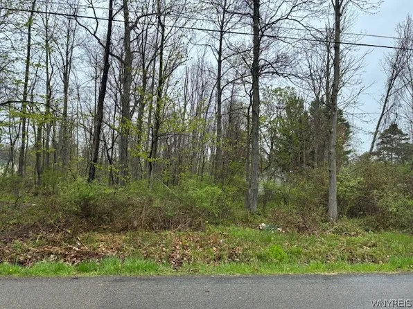 Argyle Ave Lot 20, Evans, NY 14006