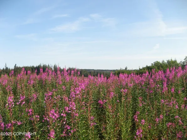 488 Cozy Cove Dr, Homer, AK 99603